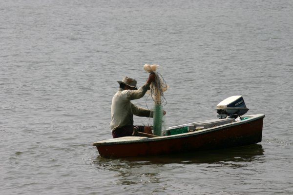 Fisherman hard at work